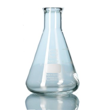 Erlenmeyer