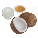 Cocoglycerides